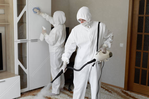 Best Toxic Mold Removal  in Twin Lake, MI